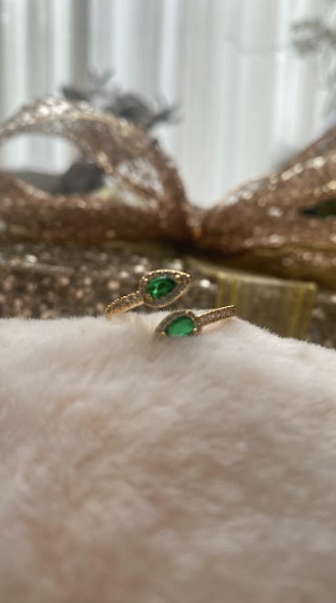 Anillo Green Snake